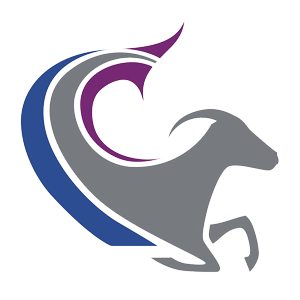CapSys Logo